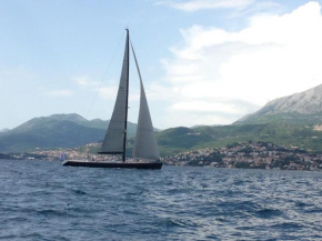 Hotels in Herceg-Novi